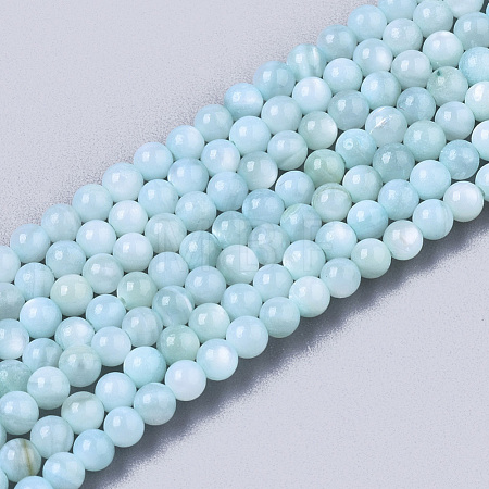 Natural Freshwater Shell Beads Strands BSHE-T009-01C-1