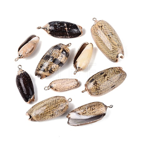 Electroplate Natural Spiral Shell Pendants SSHEL-Q100-53G-1