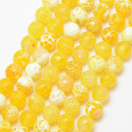 Natural Fire Crackle Agate Bead Strands X-G-K166-07F-8mm-07-1