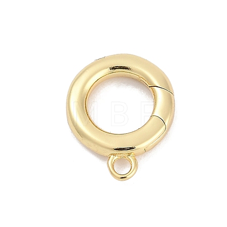 Brass Spring Gate Clasps KK-M311-25G-02-1