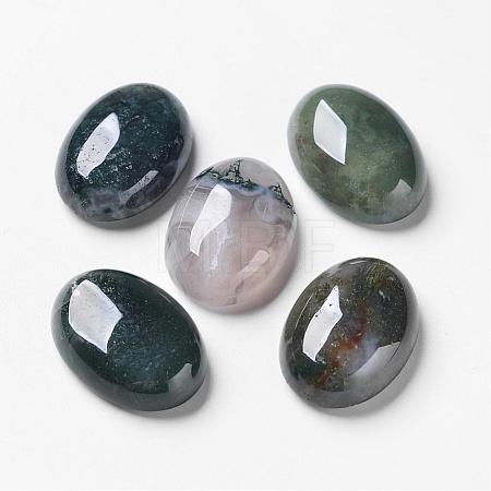 Natural Moss Agate Cabochons G-F296-09-18x25mm-1