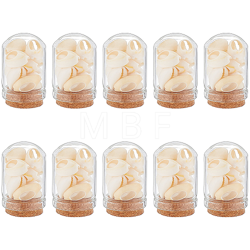 Arch Shape Glass Dome Bell Jar with Natural Mixed Cowrie Shell inside AJEW-AB00017-1