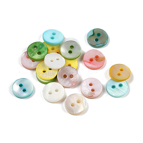 Freshwater Shell Buttons SHEL-C005-01C-1