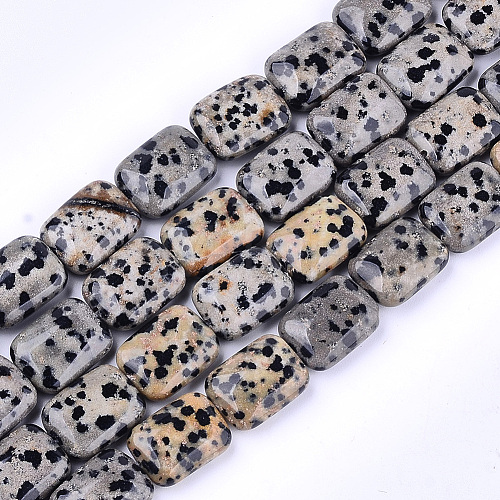 Natural Dalmatian Jasper Beads Strands X-G-T121-16-1