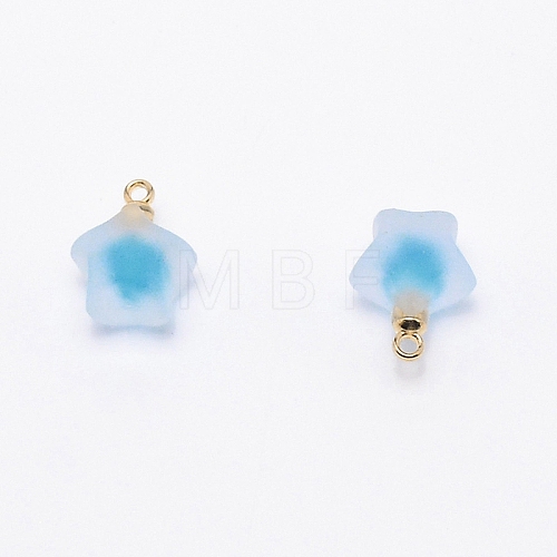 Resin Frosted Pendants MP-TAC0009-03I-1