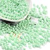 Baking Paint Glass Seed Beads X1-SEED-A032-02R-1