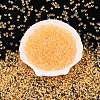6/0 Inside Colours Transparent Glass Seed Beads X1-SEED-T007-07F-1