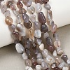 Natural Botswana Agate Nuggets Beads Strands G-B170-A01-1