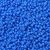 MIYUKI Round Rocailles Beads X-SEED-G007-RR4484-3