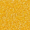 MIYUKI Delica Beads SEED-MY11-DB1562-3