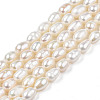 Natural Cultured Freshwater Pearl Beads Strands X-PEAR-N012-04B-3