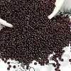 TOHO 6/0 Demi Round Beads SEED-DR06-0502-3