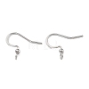 Tarnish Resistant 316 Surgical Stainless Steel Earring Hooks X-STAS-K274-10P-1
