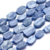 Natural Kyanite/Cyanite/Disthene Beads Strands G-O170-22-1