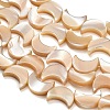 Natural Trochid Shell/Trochus Shell Beads Strands SH-CBA93AD-01-2