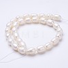 Natural Cultured Freshwater Pearl Beads Strands PEAR-P002-15-2
