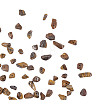 Natural Tiger Eye Chip Beads G-CJ0001-13-6