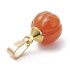 Natural Red Aventurine Pumpkin Charms with Golden Tone 304 Stainless Steel Snap on Bails PALLOY-JF02349-01-4