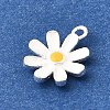 925 Sterling Silver Charms STER-F059-06S-2