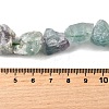 Natural Fluorite Beads Strands G-S386-C09-5