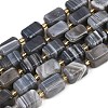 Natural Botswana Agate Beads Strands G-P611-A01-02-2