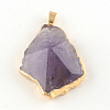 Mixed Shape Faceted Golden Plated Natural Amethyst Pendants with Iron Clasps G-R275-281-2