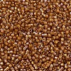MIYUKI Delica Beads X-SEED-J020-DB1734-3