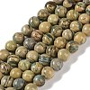 Natural Verdite Stone Beads Strands G-P530-B07-02-1
