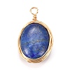Natural Lapis Lazuli Pendants PALLOY-JF00467-04-1
