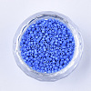 Baking Paint Cylinder Seed Beads SEED-Q036-02A-D01-2