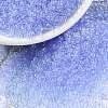 MIYUKI Round Rocailles Beads SEED-X0056-RR0159L-1