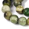 Natural Serpentine Beads Strands G-Q616-07C-4