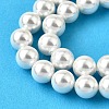 Rainbow Plated Shell Pearl Bead Strands BSHE-L025-02-6mm-3