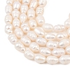 Natural Cultured Freshwater Pearl Beads Strands PEAR-F020-20A-4
