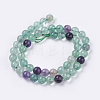 Natural Fluorite Beads Strands G-E468-F01-4mm-2