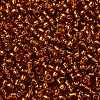TOHO 8/0 Round Beads SEED-TR08-2208-2
