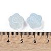 Transparent Glass Beads DGLA-E004-04F-3