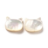 Natural White Shell Beads SHEL-G014-10A-01-2