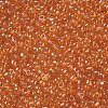 Glass Seed Beads SEED-A006-2mm-109-2