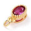 Real 18K Gold Plated Brass Inlaid Cubic Zirconia Charms ZIRC-L100-079G-03-4