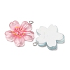 Transparent Resin Pendants RESI-K053-02-2