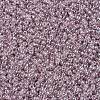 MIYUKI Round Rocailles Beads X-SEED-G007-RR0168-3