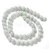 Natural Myanmar Jadeite Beads Strands G-L595-C01-02-3