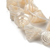 Natural Shell Beads Strands SHEL-K009-11-3