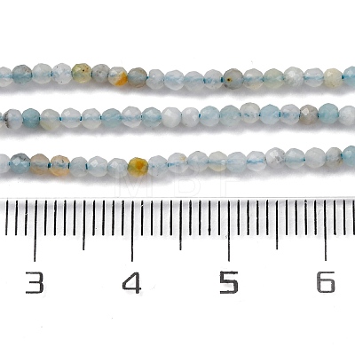 Natural Amazonite Beads Strands G-E351-10A-01-1