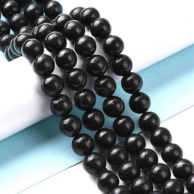 Natural Shungite Beads Strands G-D481-15B-1