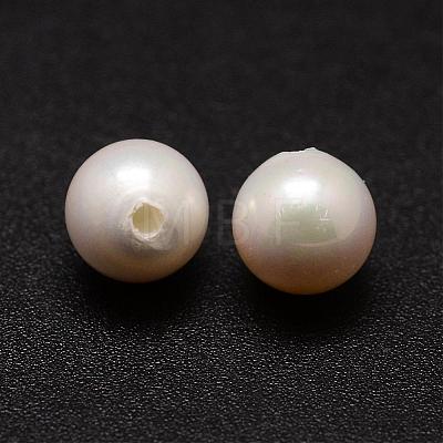 Shell Pearl Beads BSHE-L031-01-9mm-1