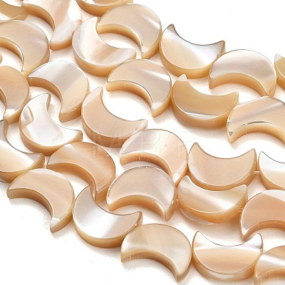 Natural Trochid Shell/Trochus Shell Beads Strands SH-CBA93AD-01-1