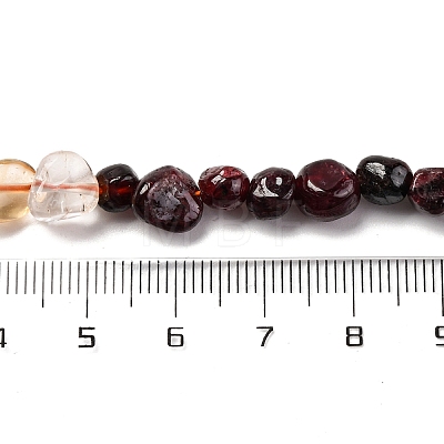 Natural Garnet & Citrine Beads Strands G-L610-B07-01-1