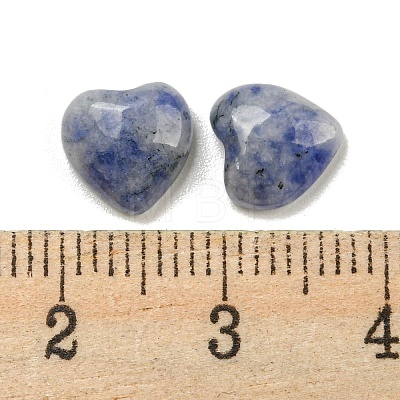 Natural Blue Spot Jasper Cabochons G-H309-01-05-1